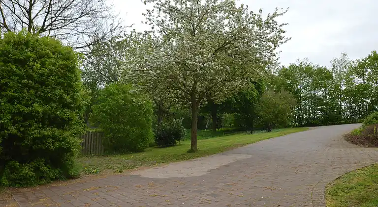 Ferielejlighed i Raskop