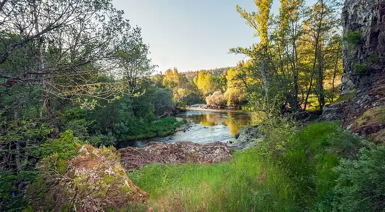 Ferielejlighed i La Omañuela