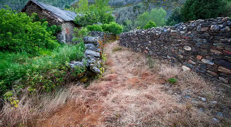 Ferielejlighed i La Omañuela