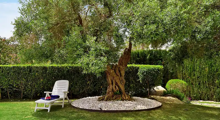 Villa in Pueblo Nuevo