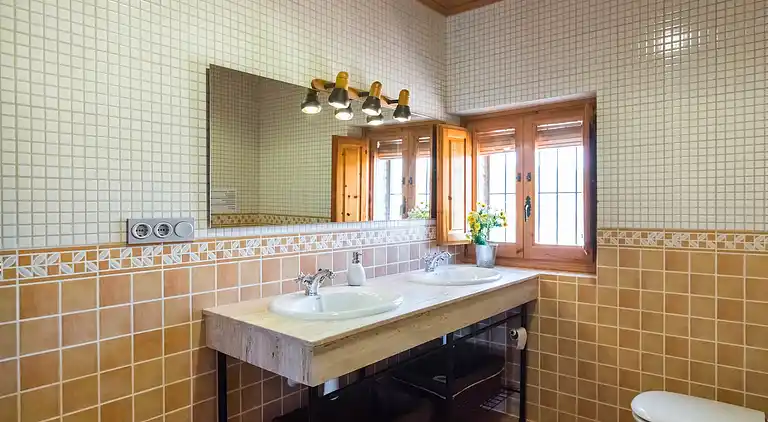 Manor house in Europe