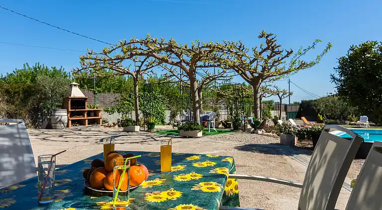 Manor house in Europe