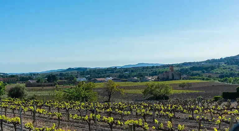 Manor house in Europe