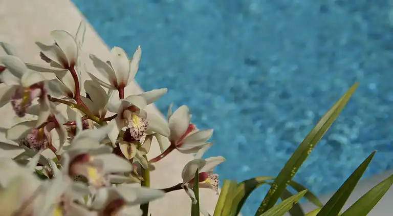 Sommerhus i Draguignan