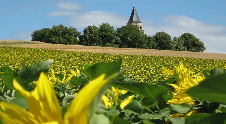 Sommerhus i Saint-Didier-la-Forêt