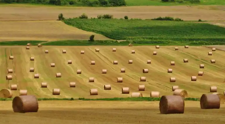 Sommerhus i Saint-Didier-la-Forêt