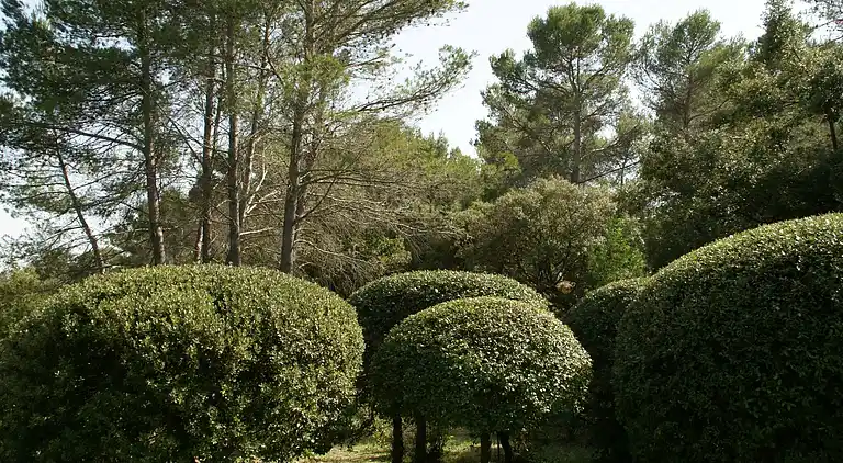 Sommerhus i Draguignan