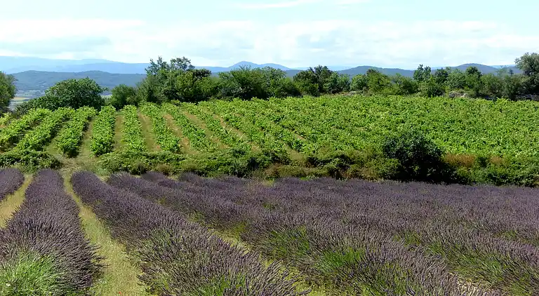 Ferielejlighed i Barjac