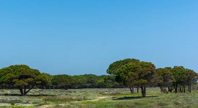 Ferielejlighed i Occitanie