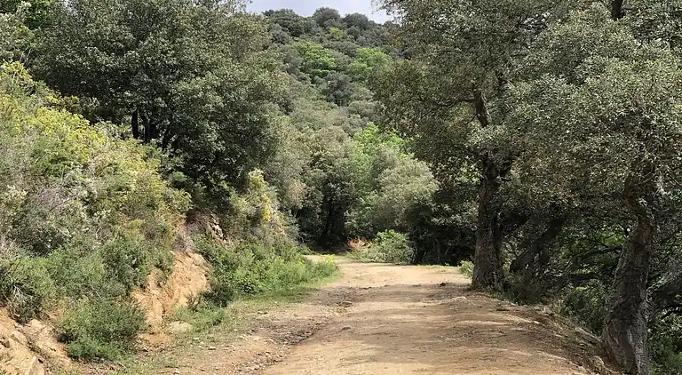 Holiday home in Sorède