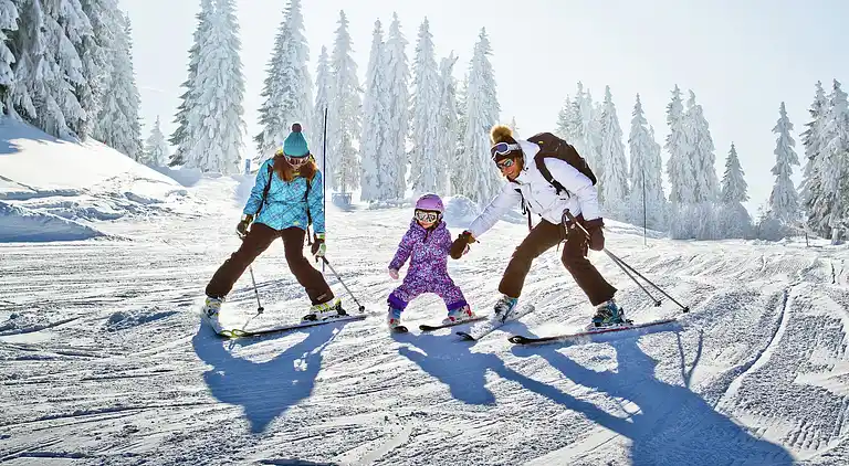 Ferielejlighed i Abondance