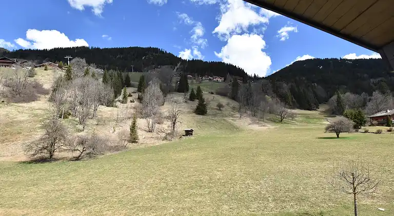 Ferielejlighed i Abondance