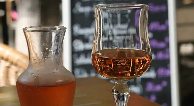 Herregård i Saint-Antonin-du-Var