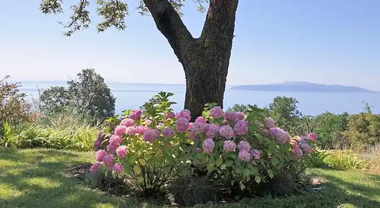 Villa i Ičići