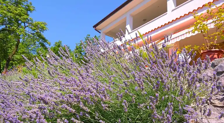 Villa i Ičići