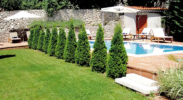 Villa i Ičići