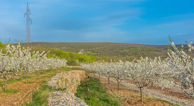 Sommerhus i Benkovac
