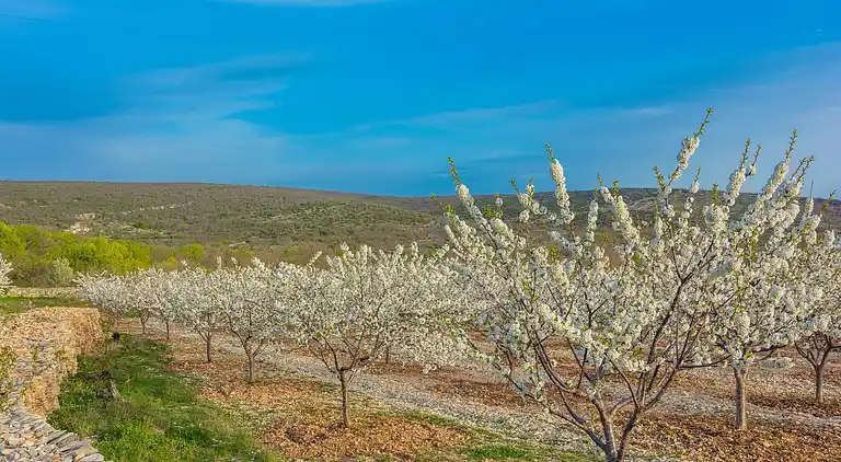 Sommerhus i Benkovac