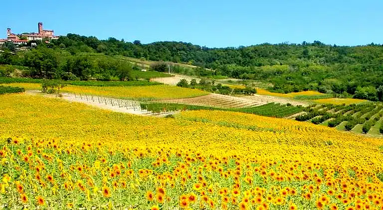 Herregård i Ombra - Ronchiesa
