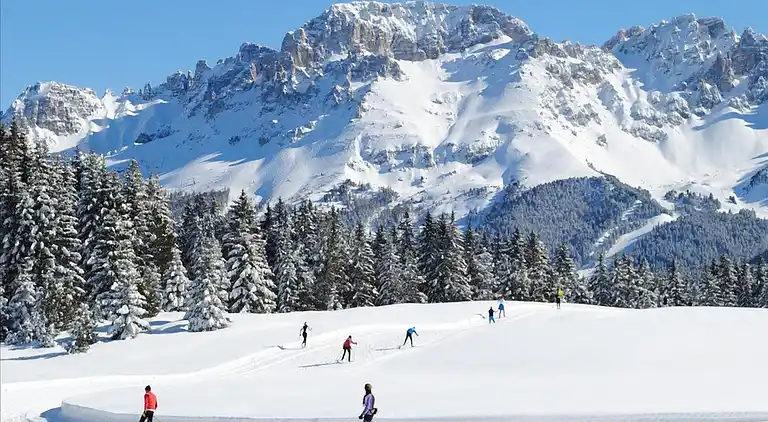 Apartment in Cavalese