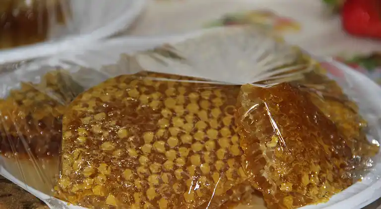 Villa i Santa Caterina dello Ionio Marina