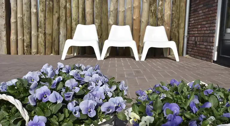 Sommerhus i Callantsoog