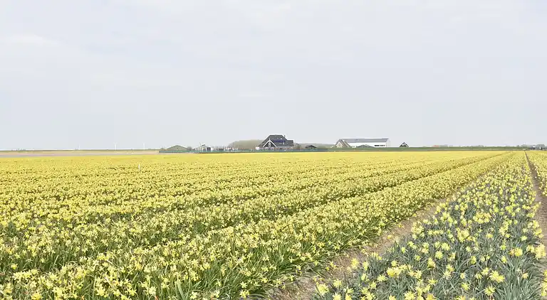 Ferielejlighed i Callantsoog