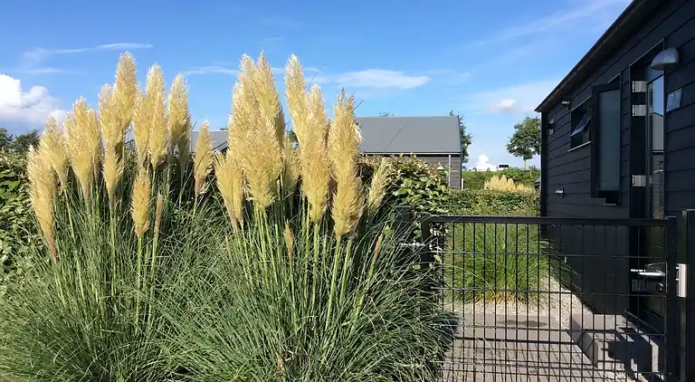 Sommerhus i Wilhelminadorp