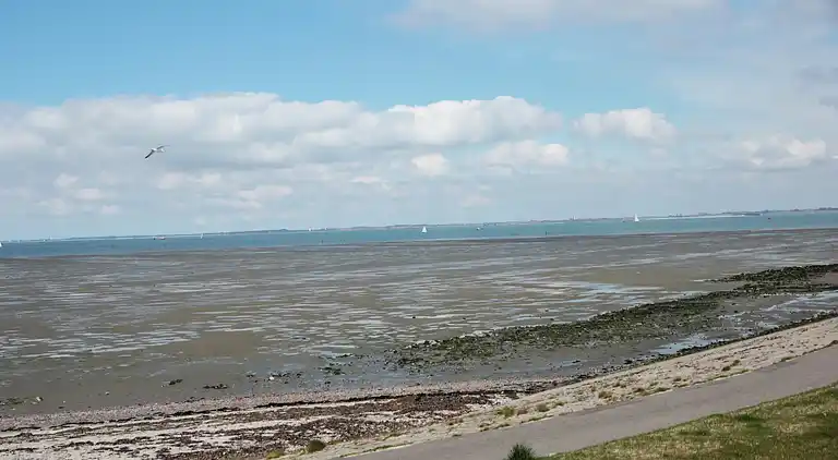 Sommerhus i Wilhelminadorp