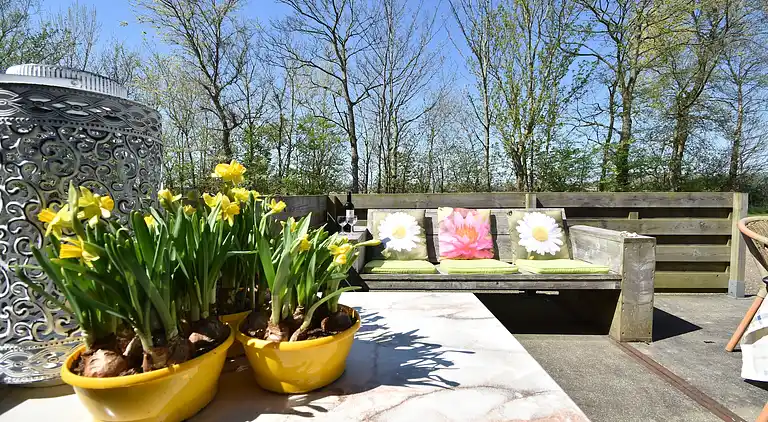 Farm house in Kamperland