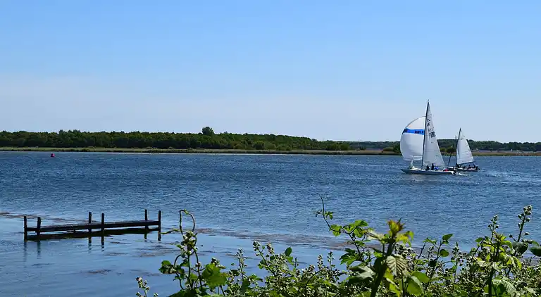 Bungalow i Kamperland