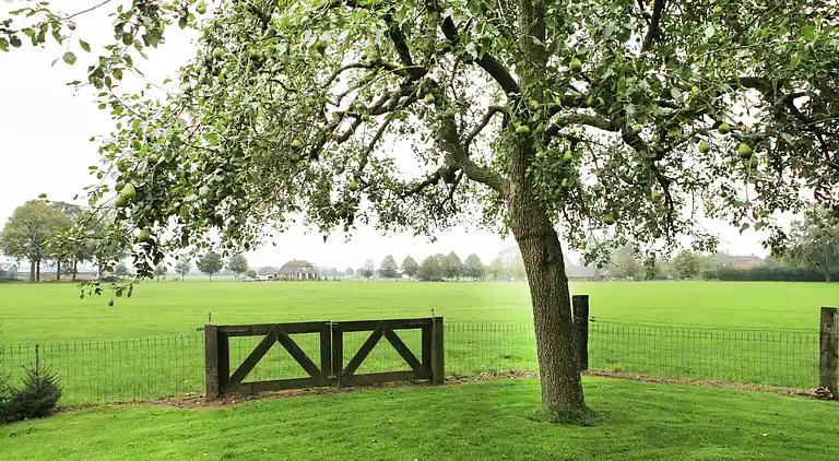 Holiday home in Baak