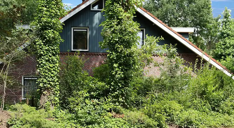 Holiday home in Winterswijk