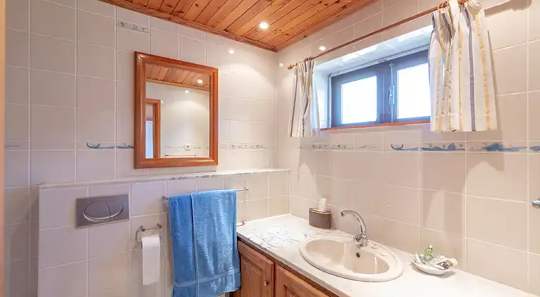 Herregård i Treixedo