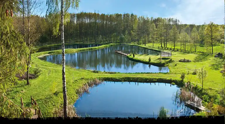 Hytte i Połomin-Kolonia