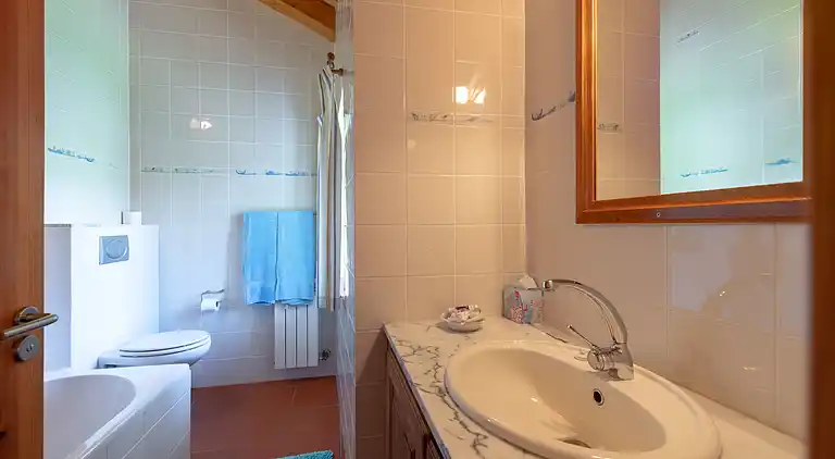 Herregård i Treixedo