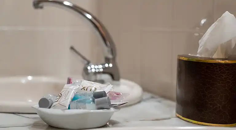 Herregård i Treixedo