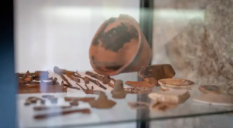 Herregård i Treixedo