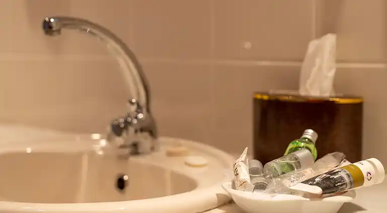 Herregård i Treixedo