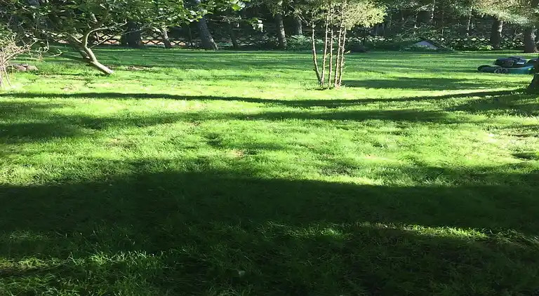 Sommerhus i Gowidlino