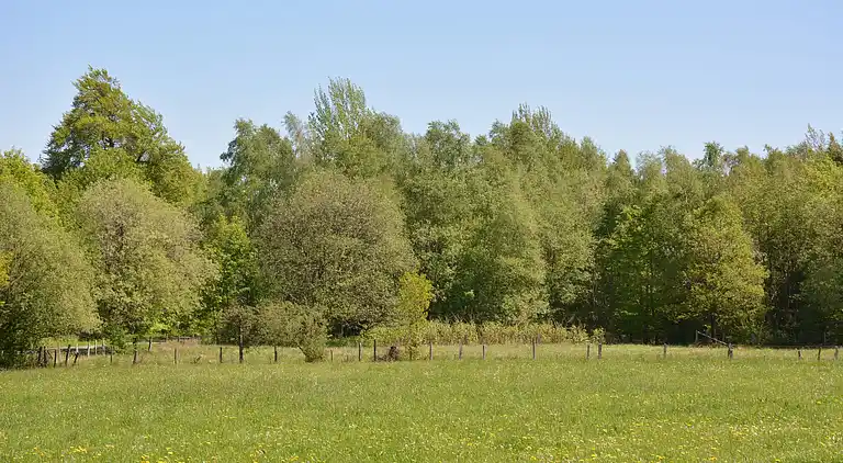 Holiday home in Jalhay