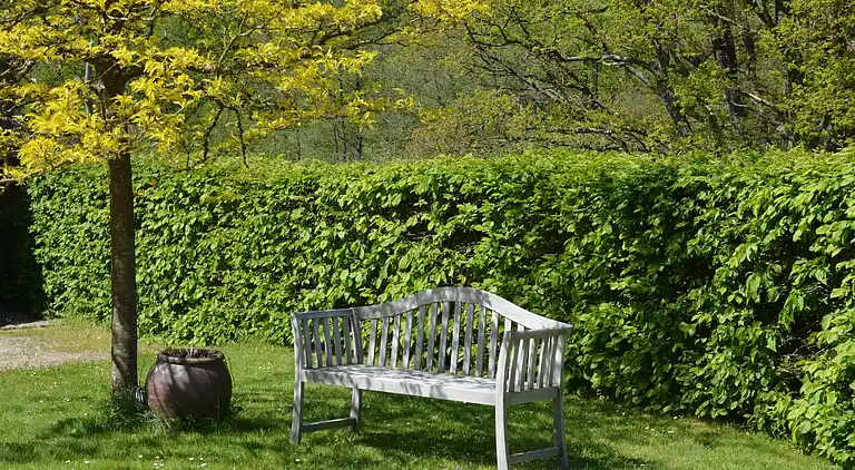 Holiday home in Beauraing