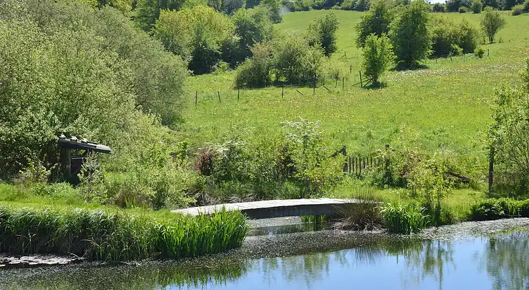 Holiday home in Beauraing