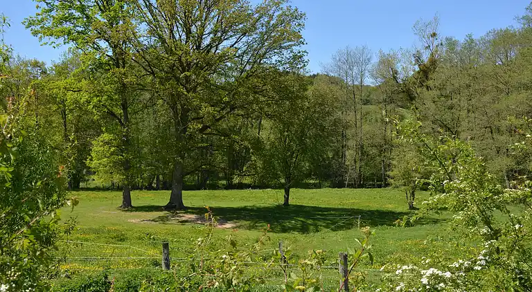 Holiday home in Beauraing