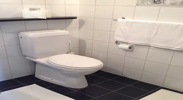 Ferielejlighed i Crans-Montana