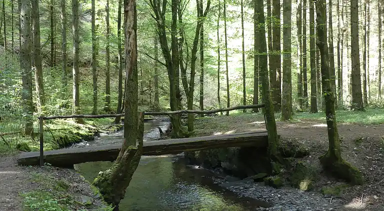 Holiday home in Mastershausen