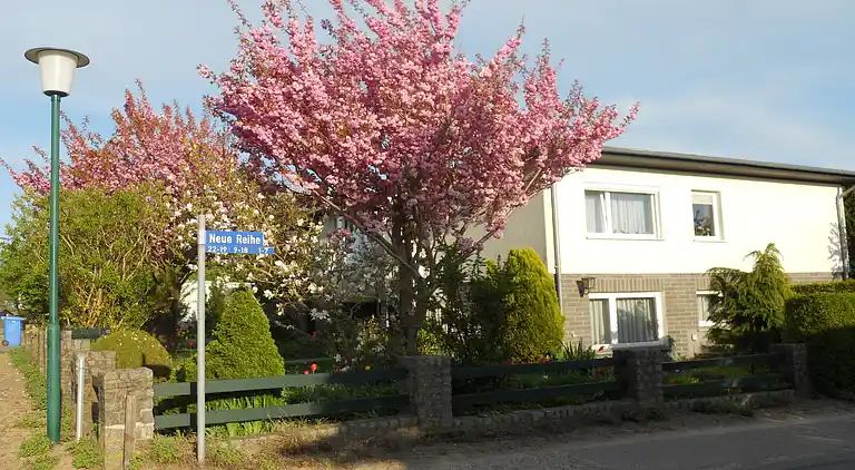 Apartment in Kröpelin