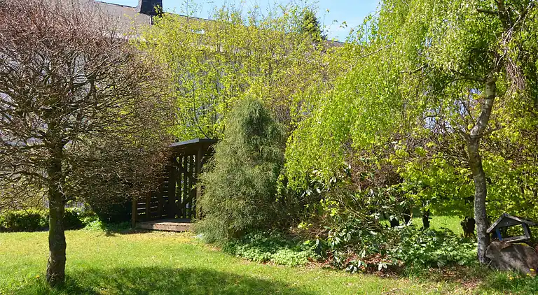 Holiday home in Altastenberg