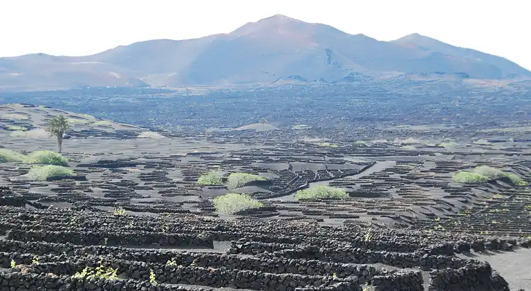 Ferielejlighed i Arrecife