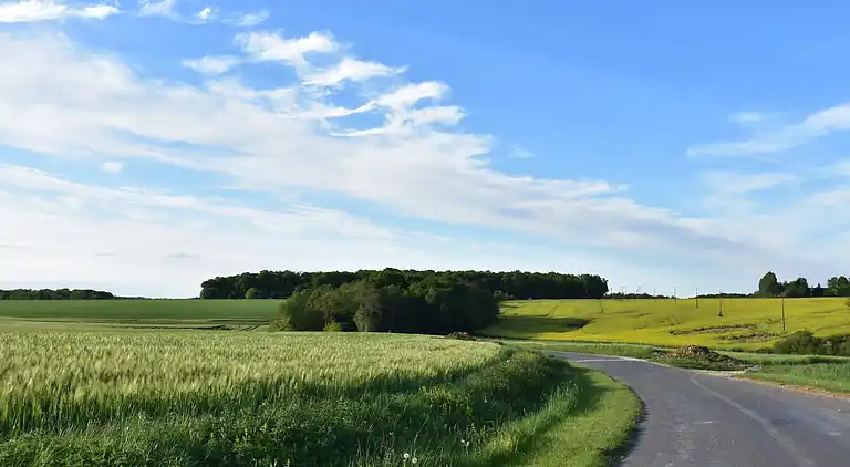 Feriebolig i Oussoy-en-Gâtinais